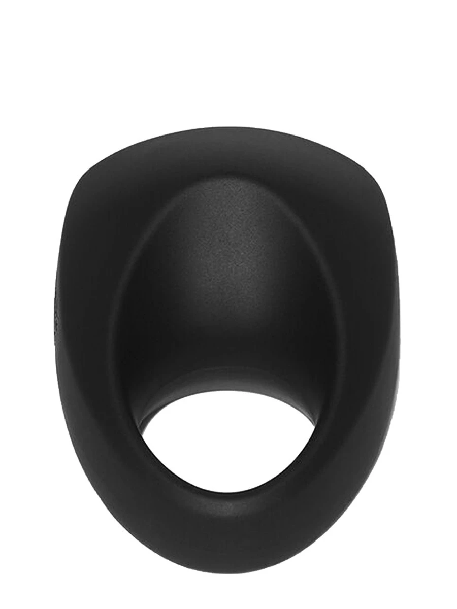 SEX TOY BUDDY DSQUARED X MY SECRET CASE.webp