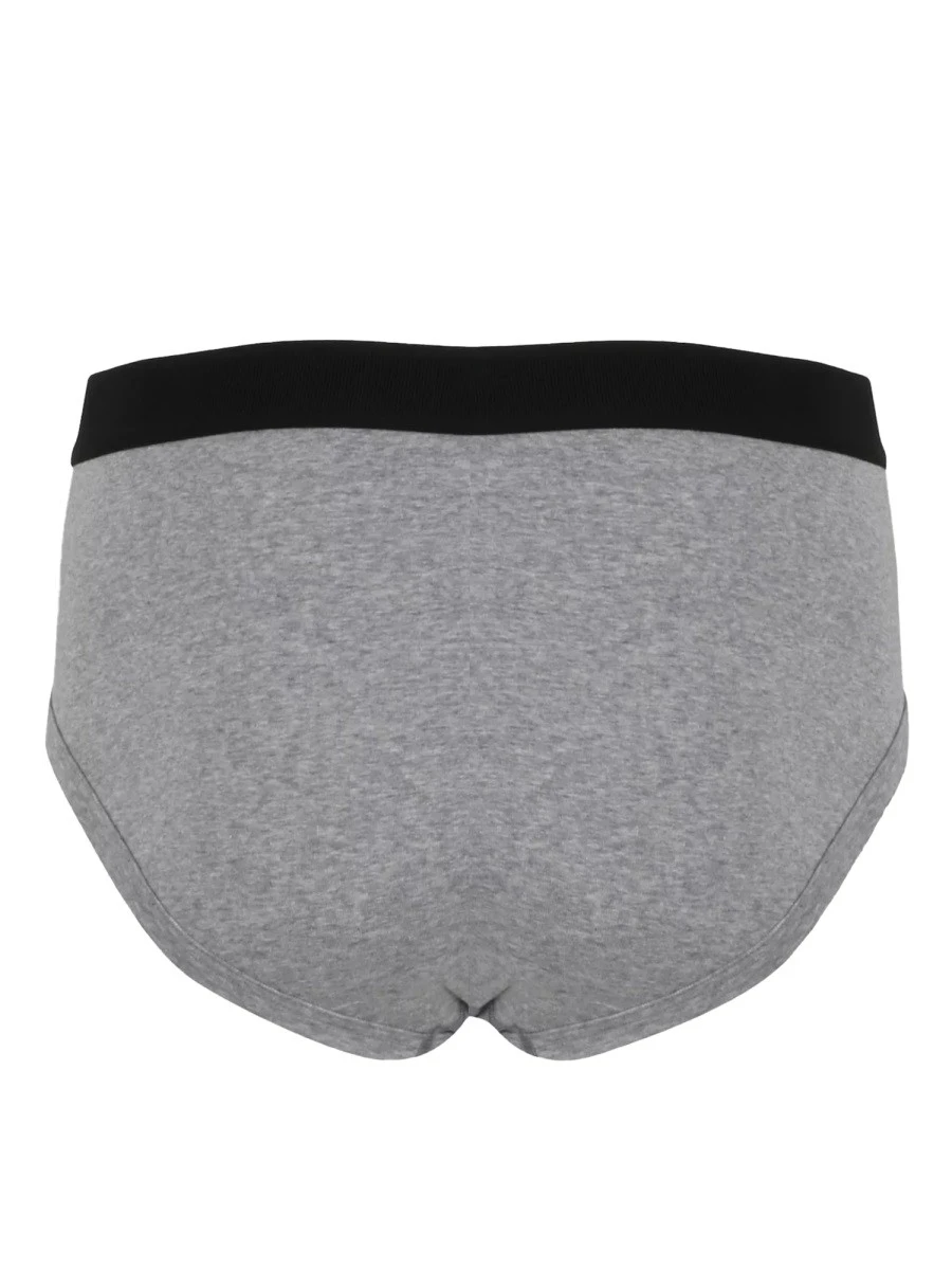 BRIEFS WITH LOGO.webp