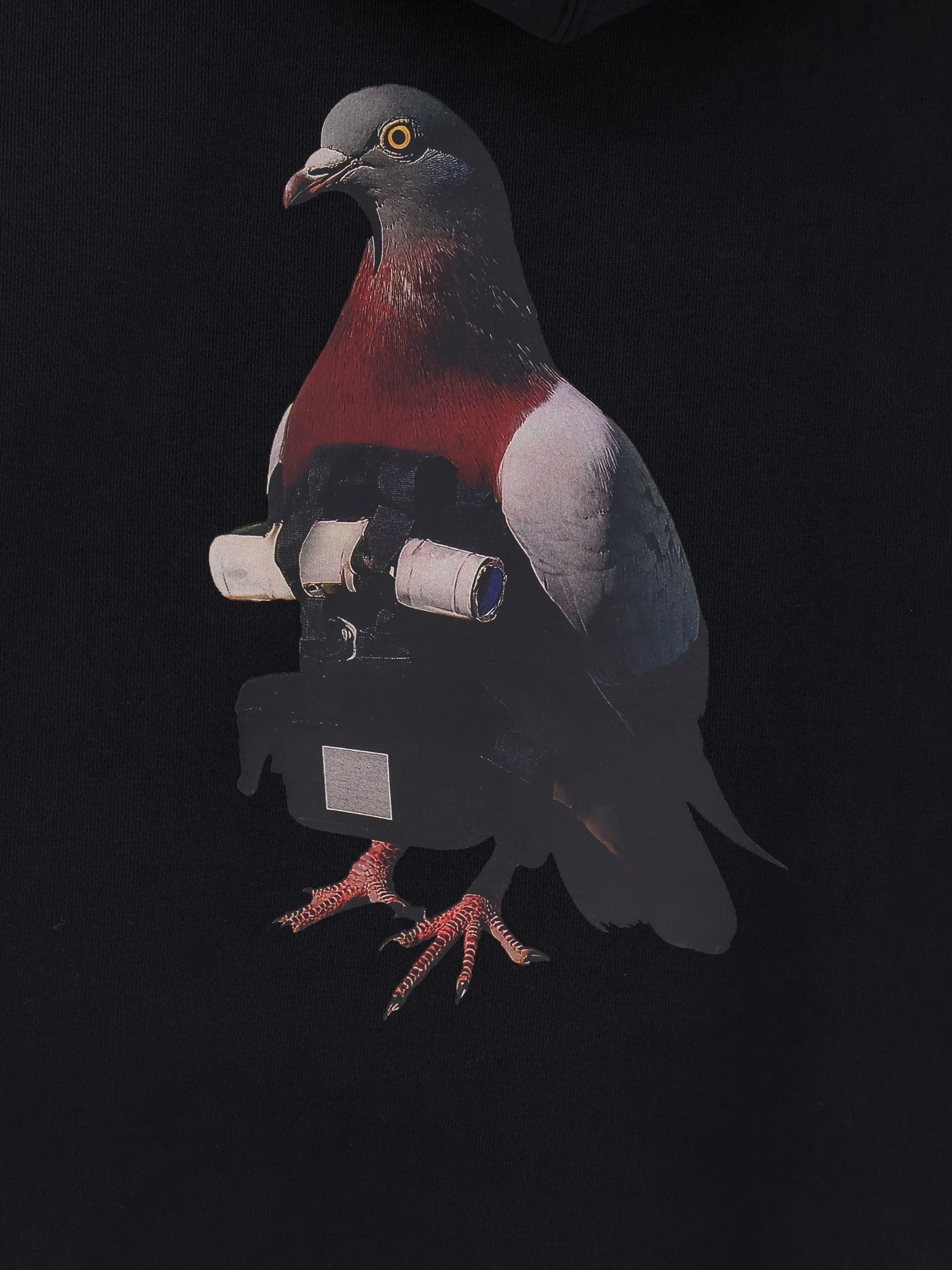 Felpa in cotone.webp