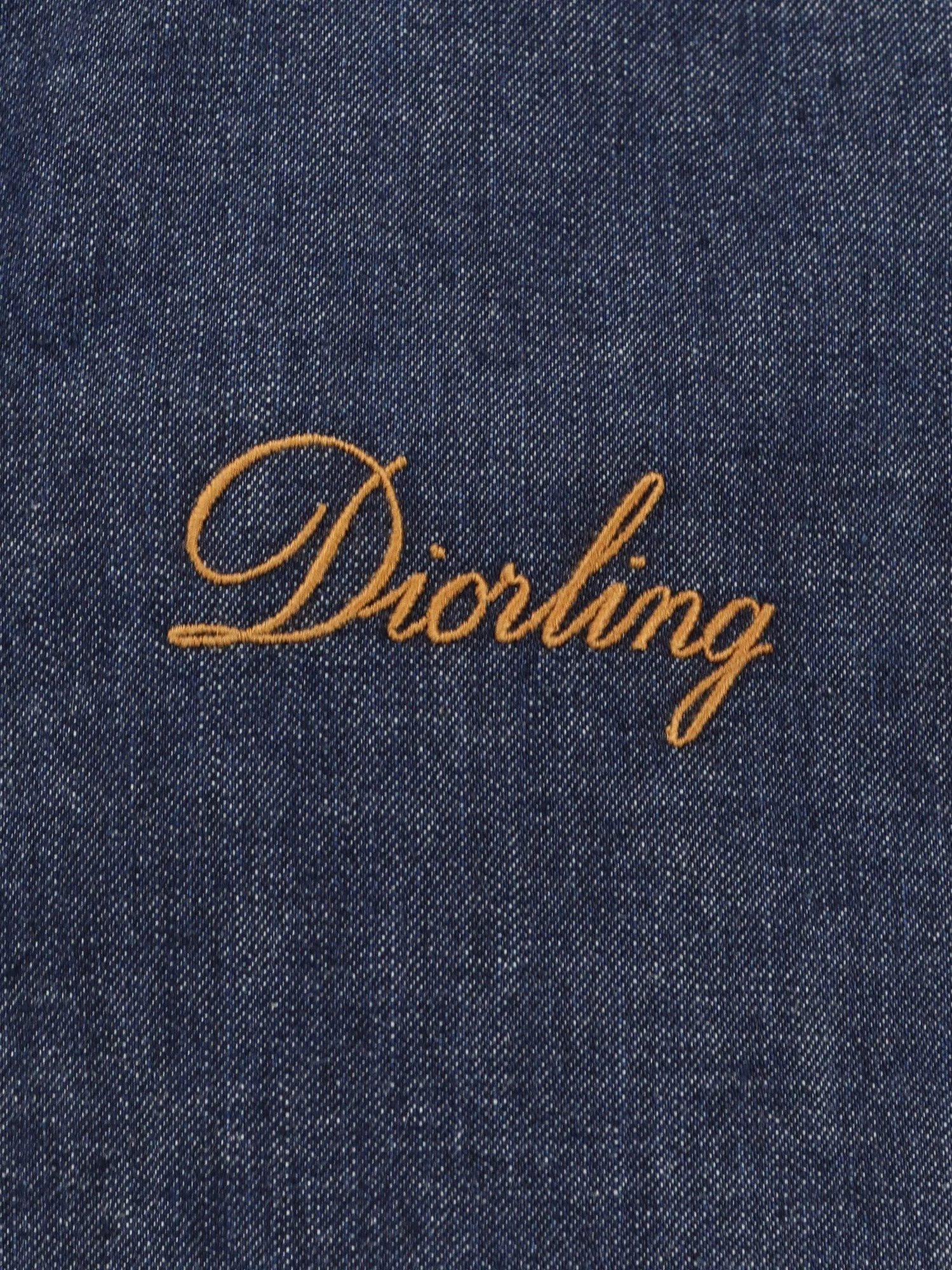 Diorling denim jacket.webp