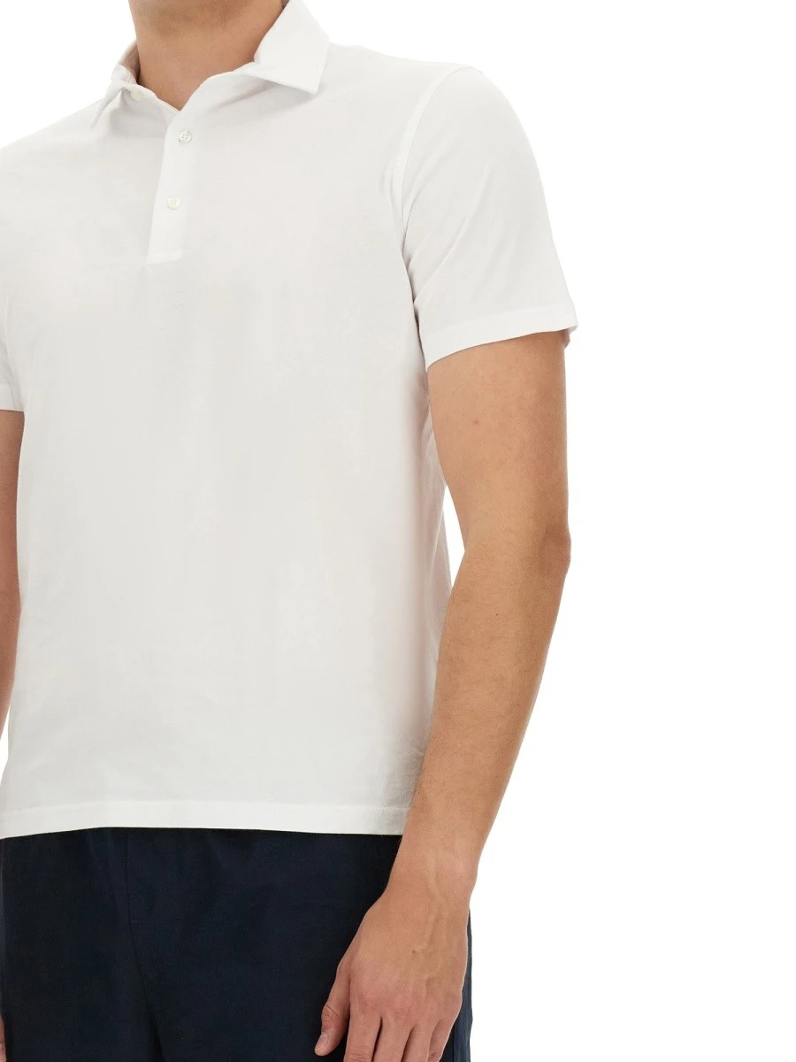 COTTON POLO.webp