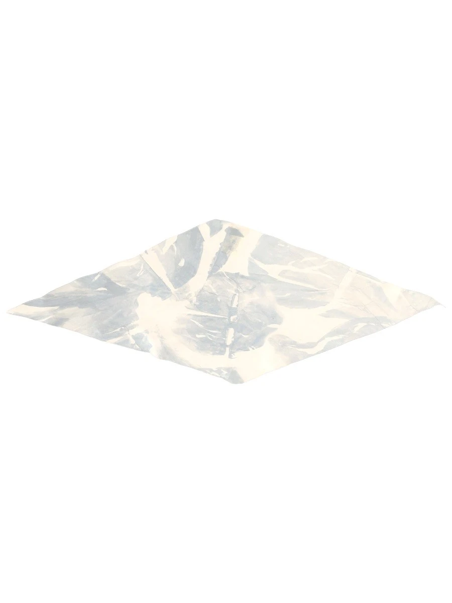 SILK SCARF.webp