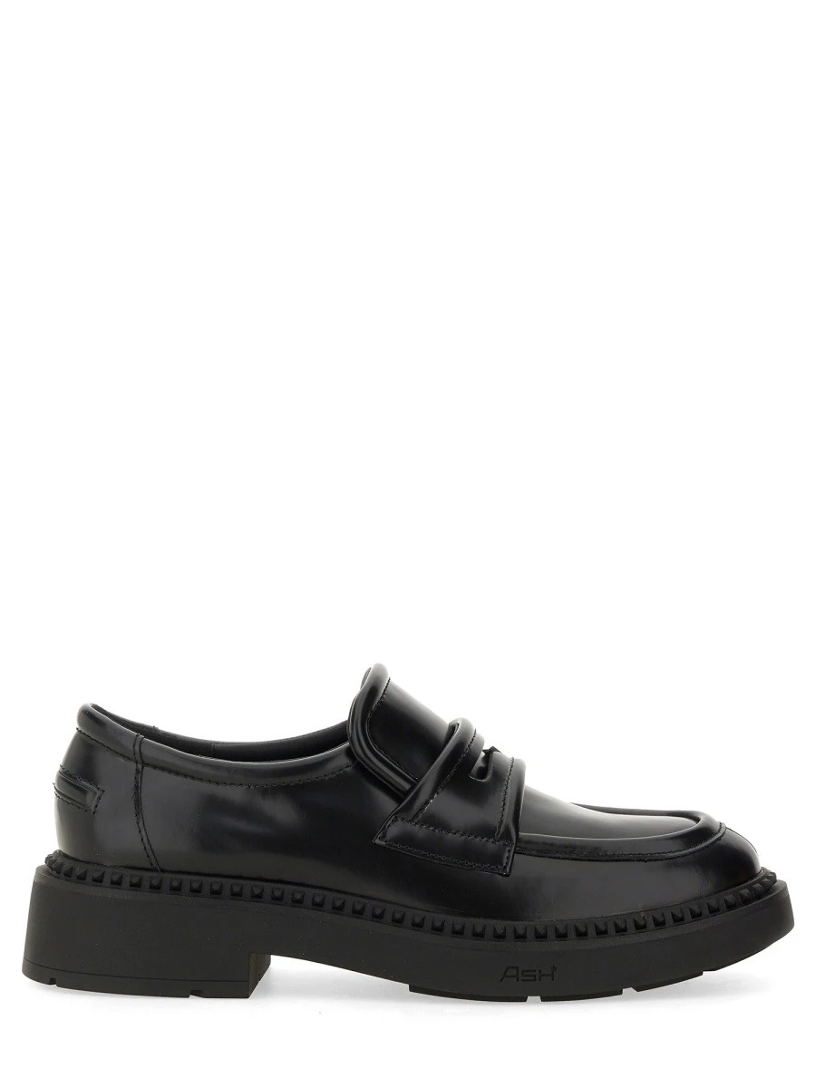 MOCCASIN MIRACLE.webp