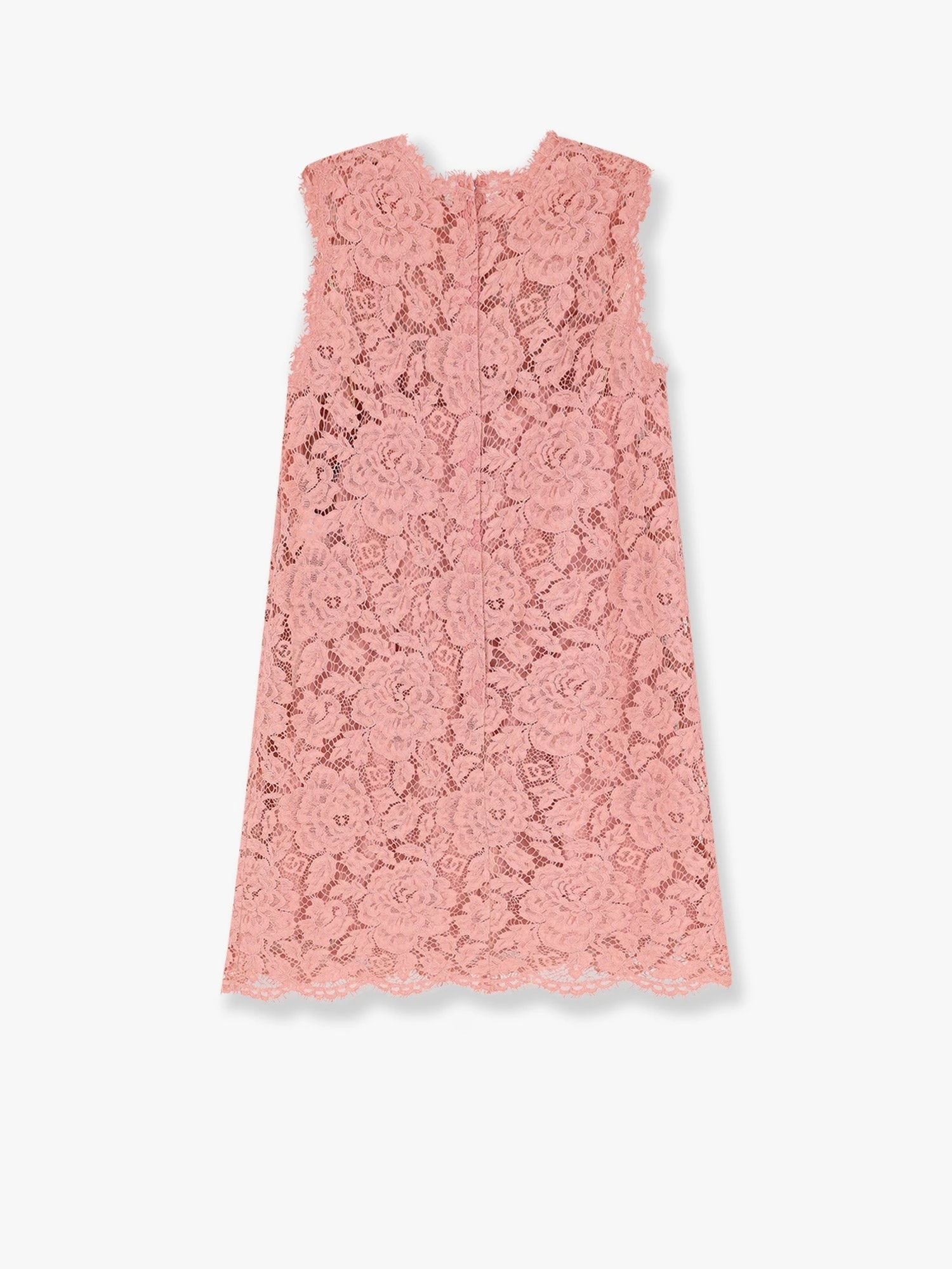 A line dg floral lace dress.webp