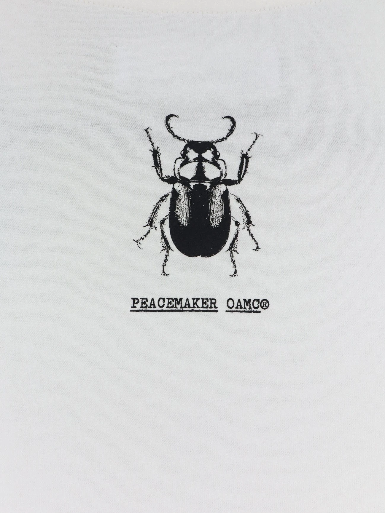 Cotton t-shirt with Stencil print.webp