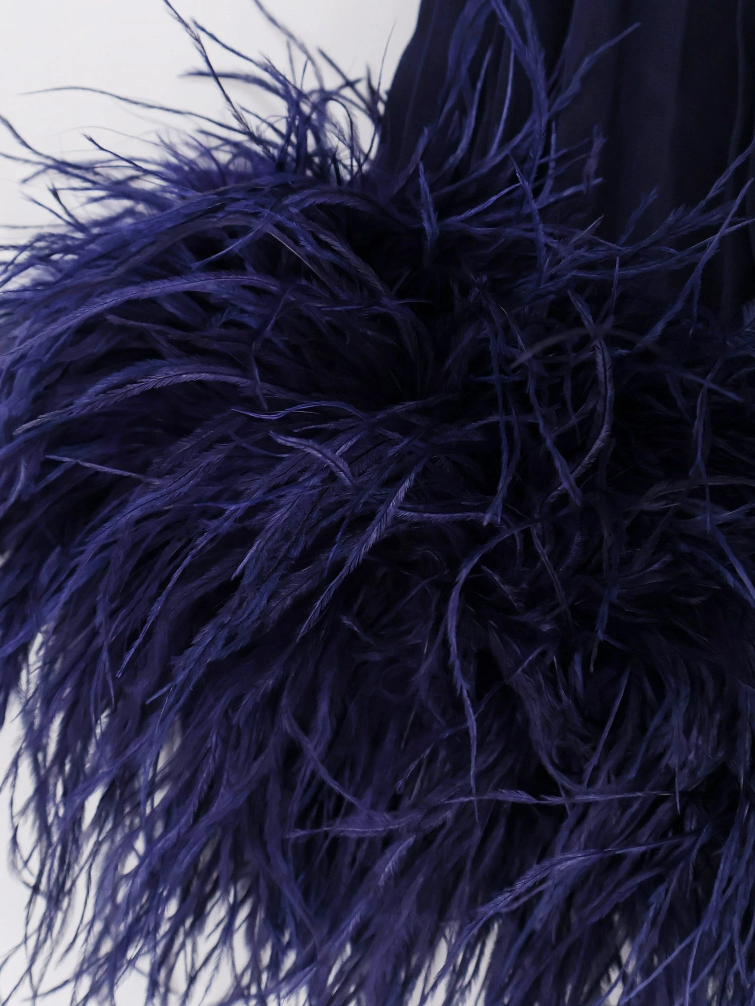 Chiffon long dress with ostrich feathers.webp