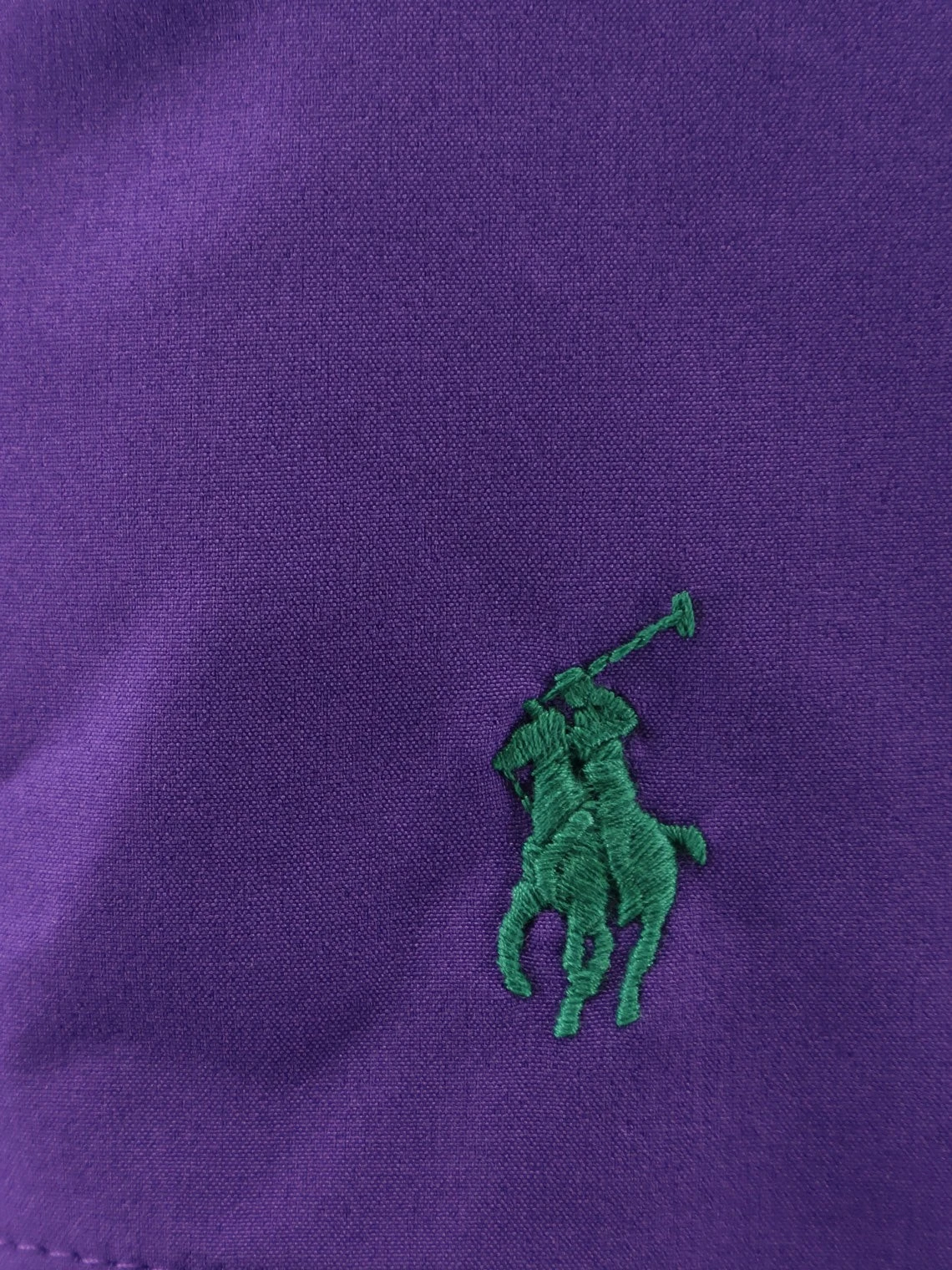Nylon swim trunks with embroidered logo.webp