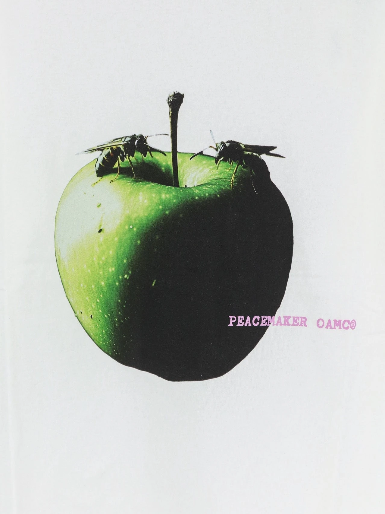 Cotton t-shirt with Apple print.webp