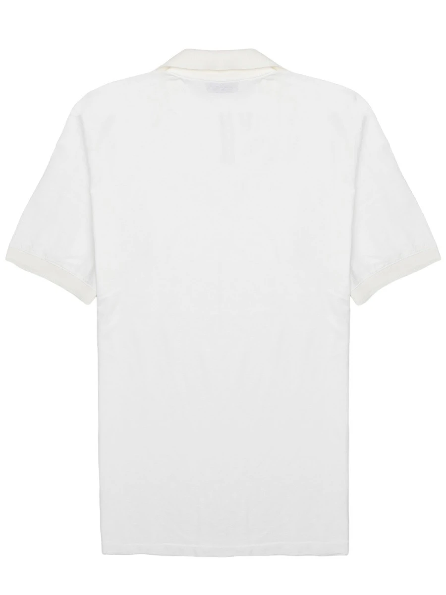POLO IN COTONE.webp